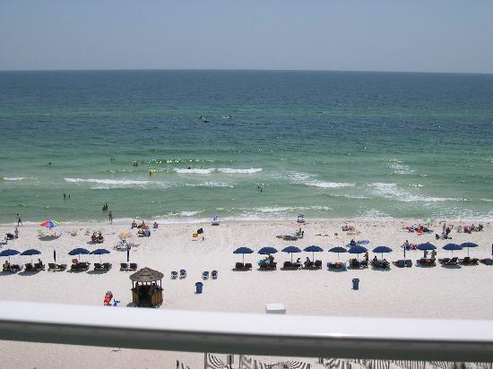 Our Beach View March 2009